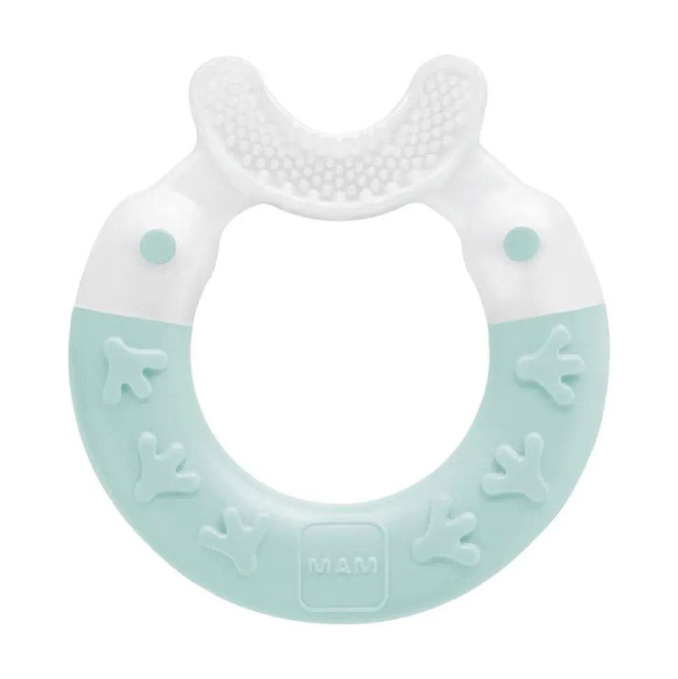 Anneau de dentition nettoyant coloris aléatoire