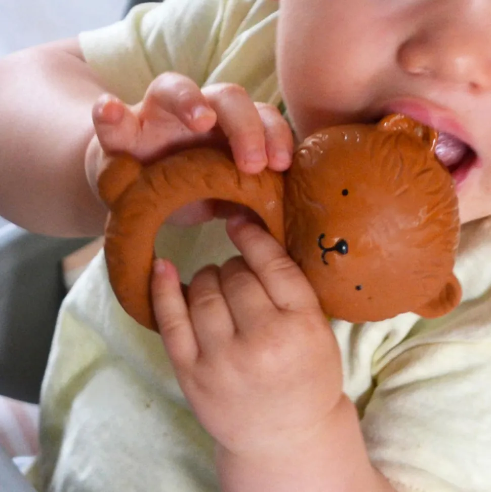 Anneau de dentition ours