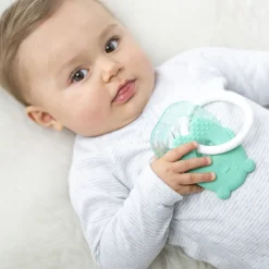 Anneau de dentition réfrigérant ours vert