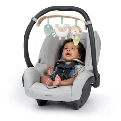 Arche de jeu wonder & wood carrier