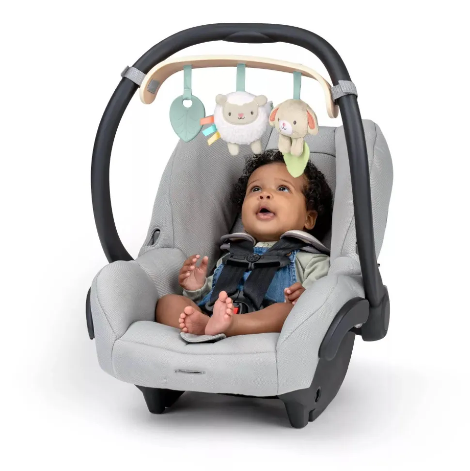Arche de jeu wonder & wood carrier