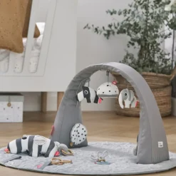 Arche de jeux gym grey