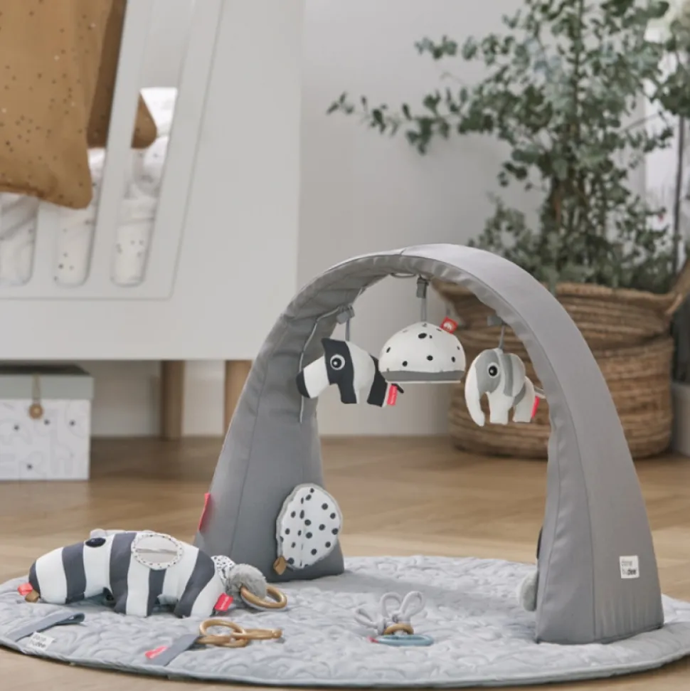Arche de jeux gym grey