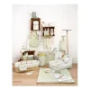 Attache sucette pomme botanica