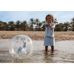 Ballon de plage 3d - ocean world