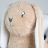 Bascule lapin hop