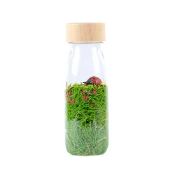 Bouteille sensorielle sound coccinelles
