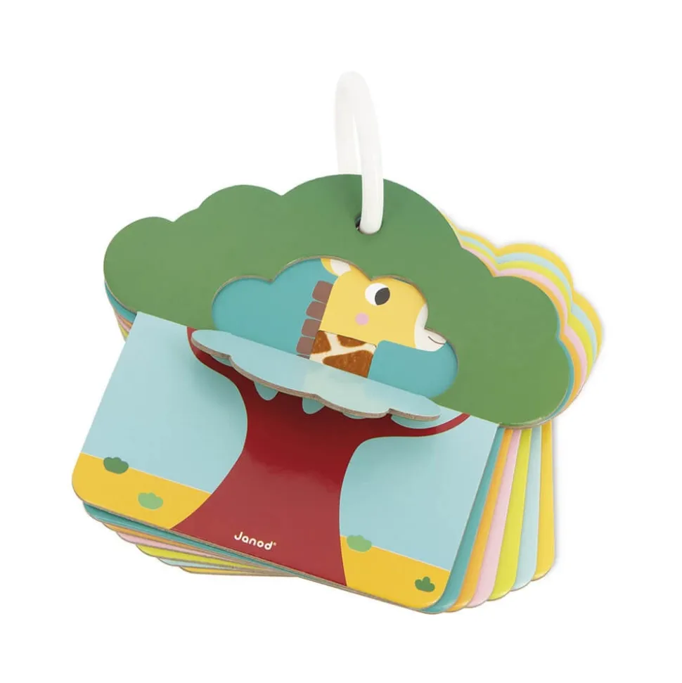 Cartes tactiles savane