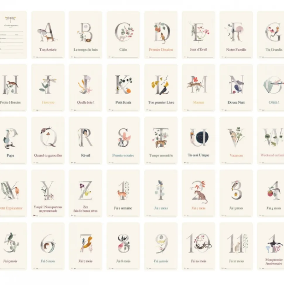 Cartes étapes bébé ma première année collection luxe abc