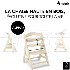 Chaise haute évolutive alpha beige + transat premium dark grey