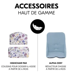 Chaise haute évolutive alpha blanche + transat light grey