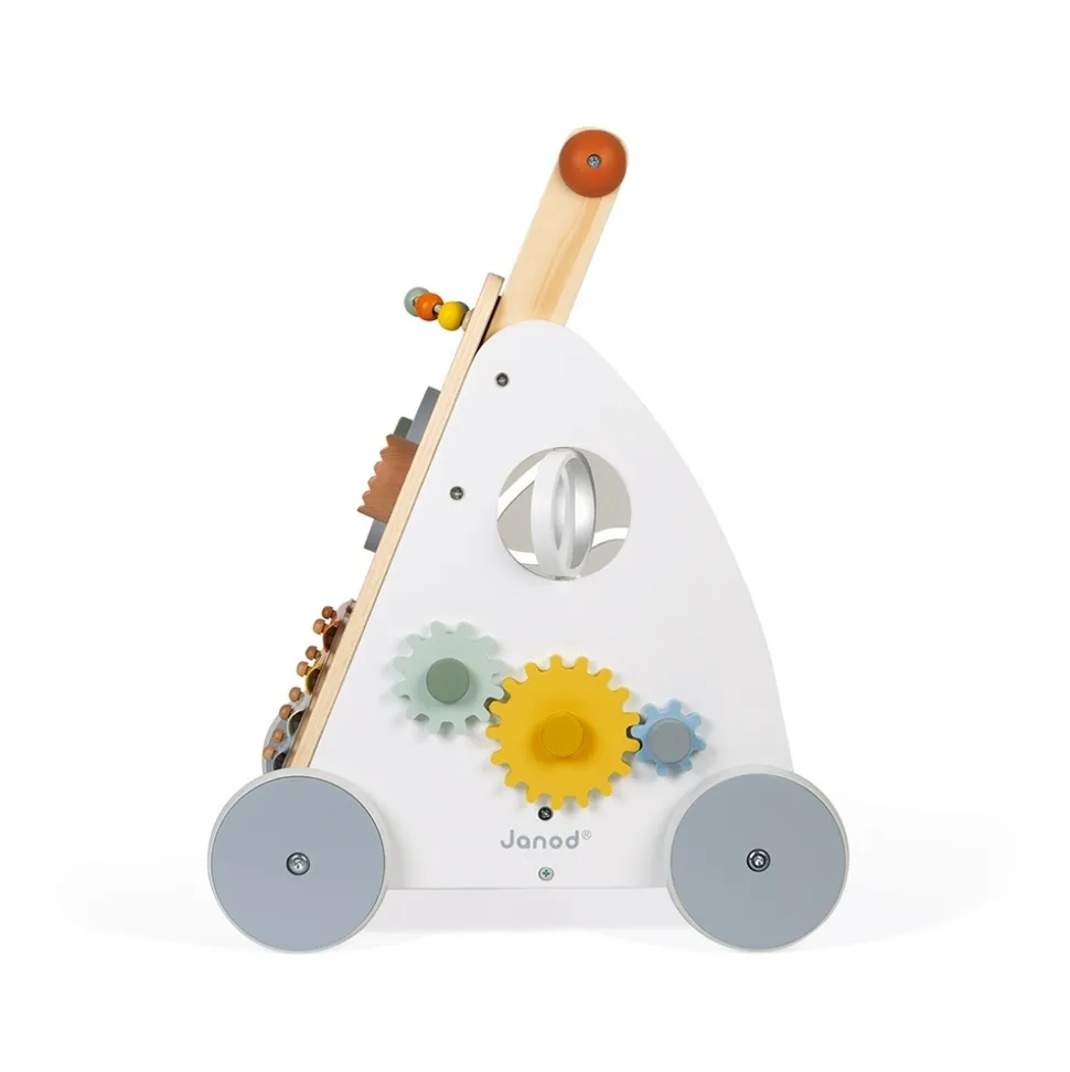 Chariot de marche multi-activités sweet cocoon