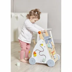 Chariot de marche multi-activités sweet cocoon