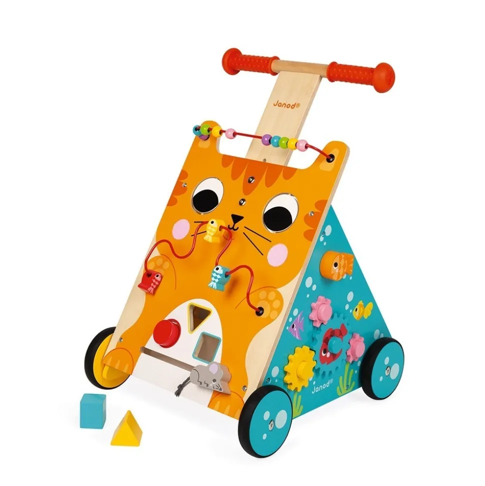 Chariot de marche multi-activités chat