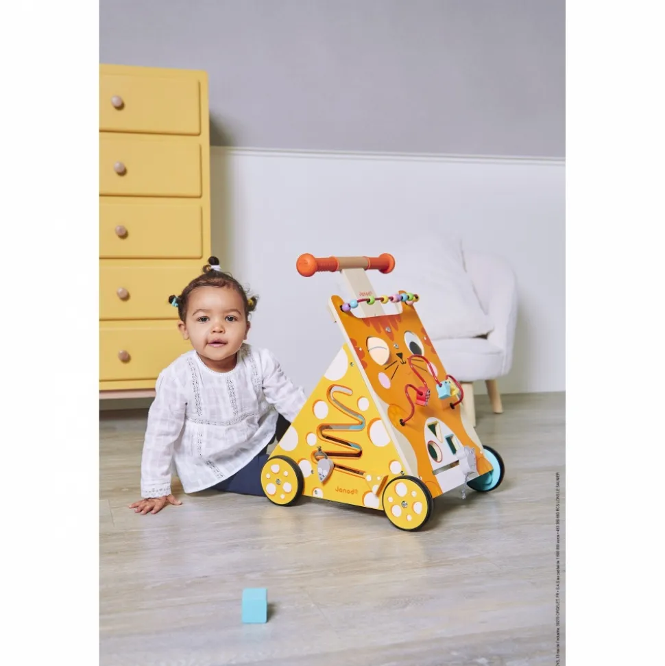 Chariot de marche multi-activités chat