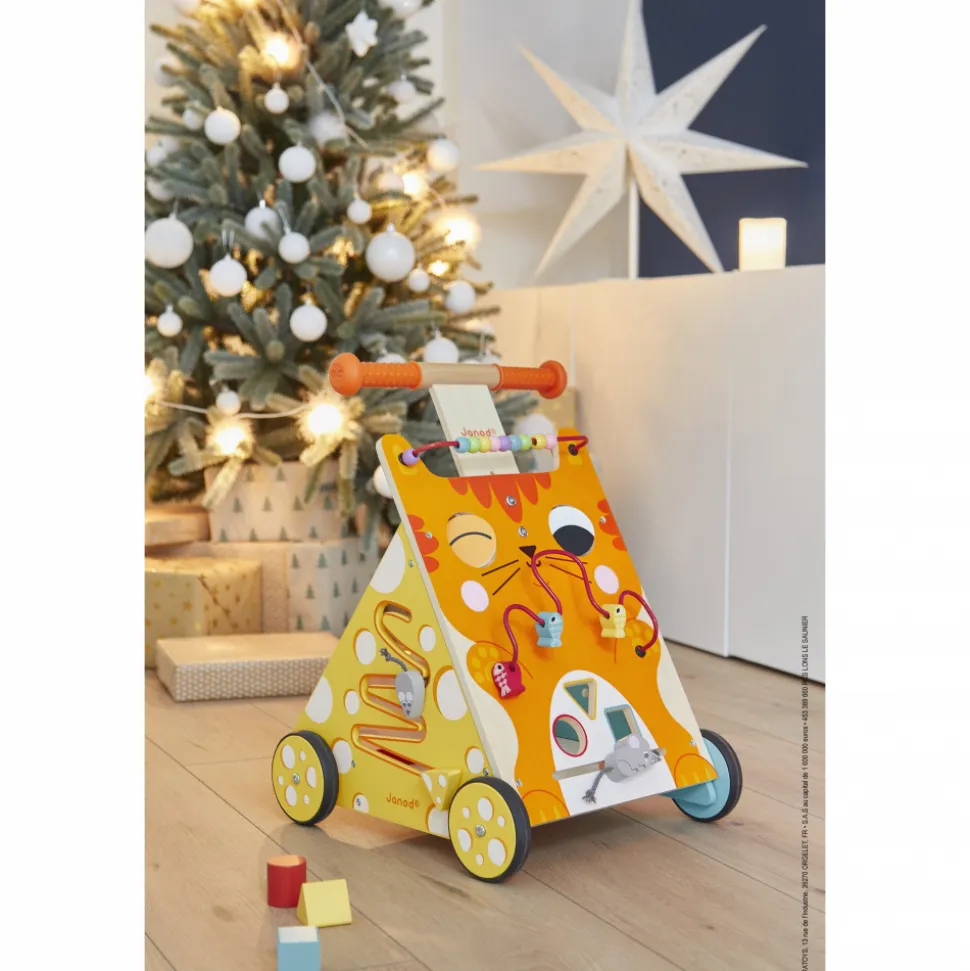 Chariot de marche multi-activités chat