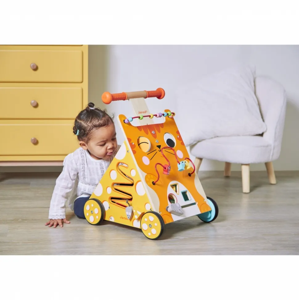 Chariot de marche multi-activités chat