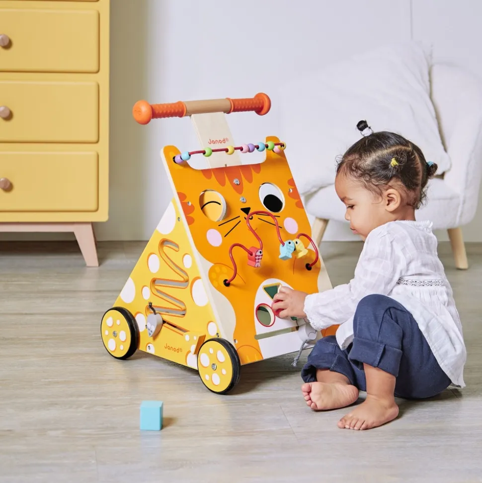 Chariot de marche multi-activités chat
