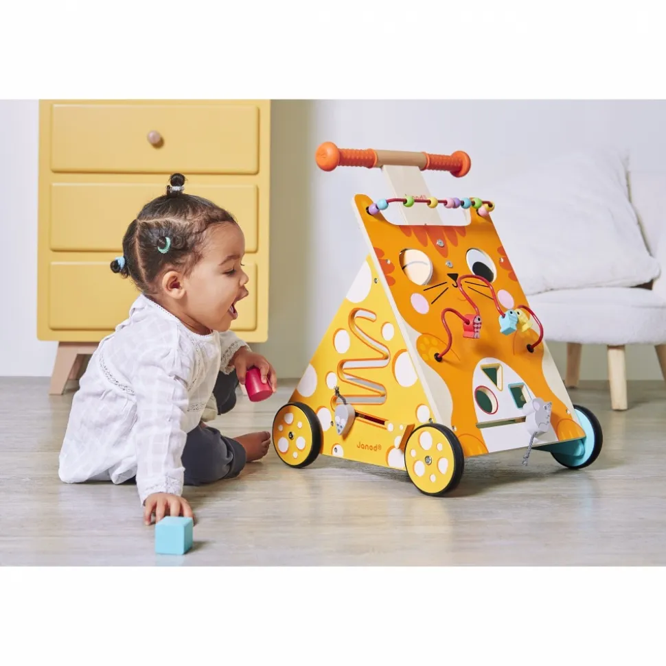 Chariot de marche multi-activités chat