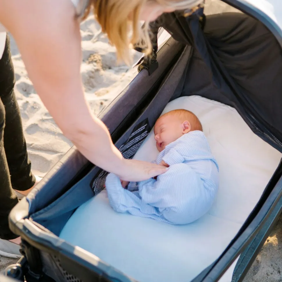 Chariot de transport 2 enfants cruiser