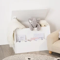 Coffre à jouets avec bibliothèque banc