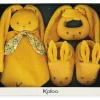 Coffret de naissance ocre