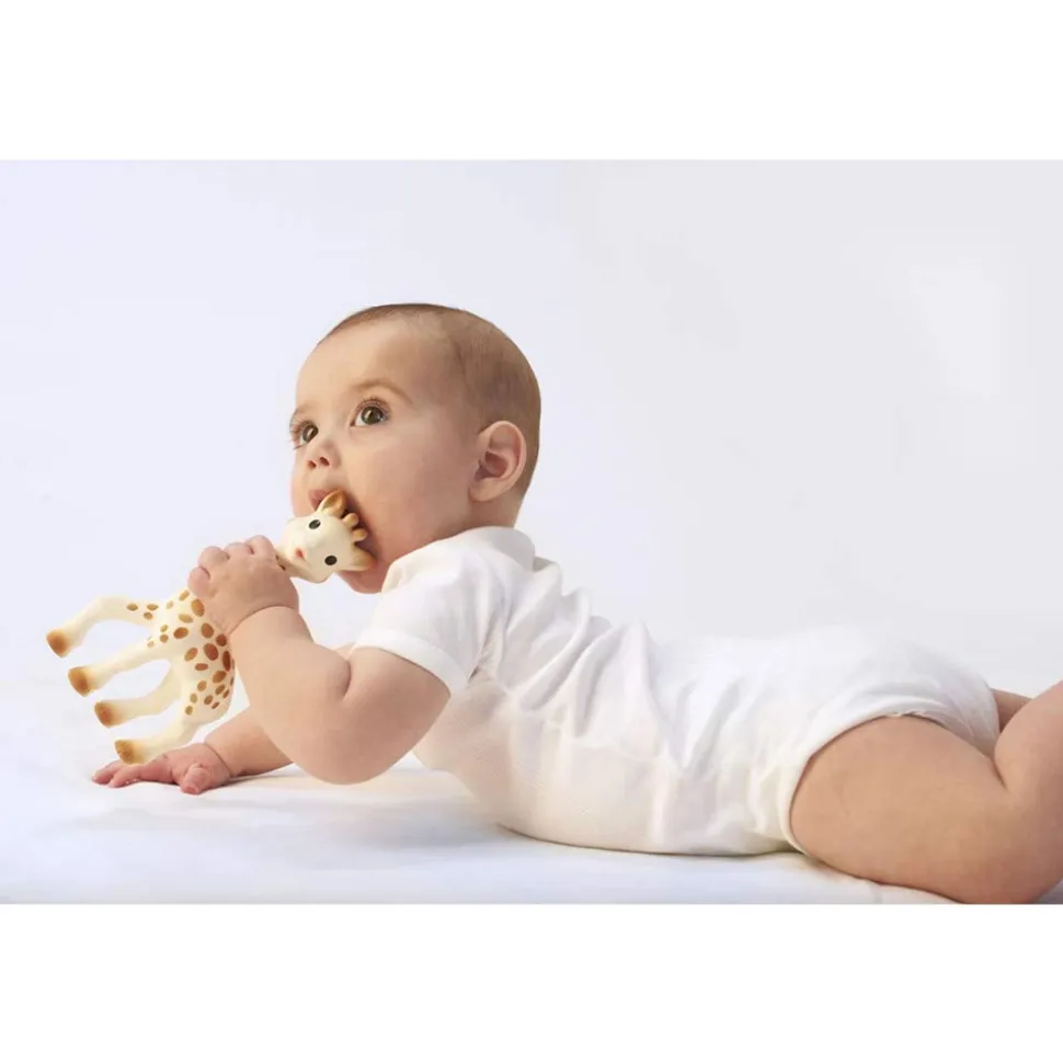 Coffret naissance prêt à offrir sophie la girafe + hochet soft maracas