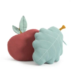 Coussin après la pluie - feuille