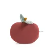 Coussin après la pluie - pomme