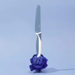 Couteau d'apprentissage myrtille