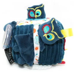 Cube d'activités astros le hibou