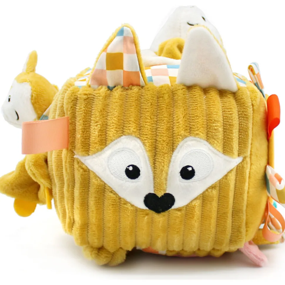 Cube d'activités cyranos le renard