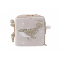 Cube d'activités deepsea