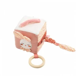 Cube d'activités esmée