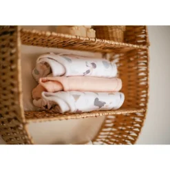 Culotte d'apprentissage 18-24 mois - blush & blossom / dinosaure