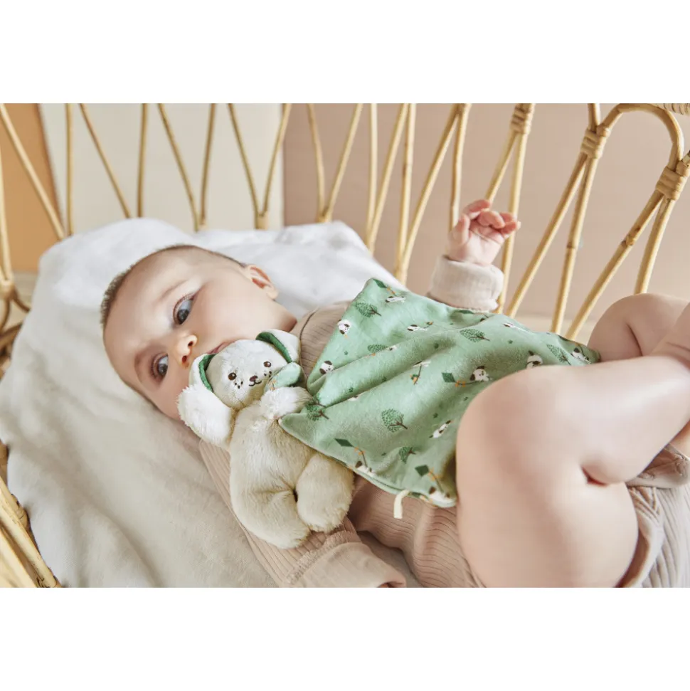 Doudou carré douceur plat chien vert