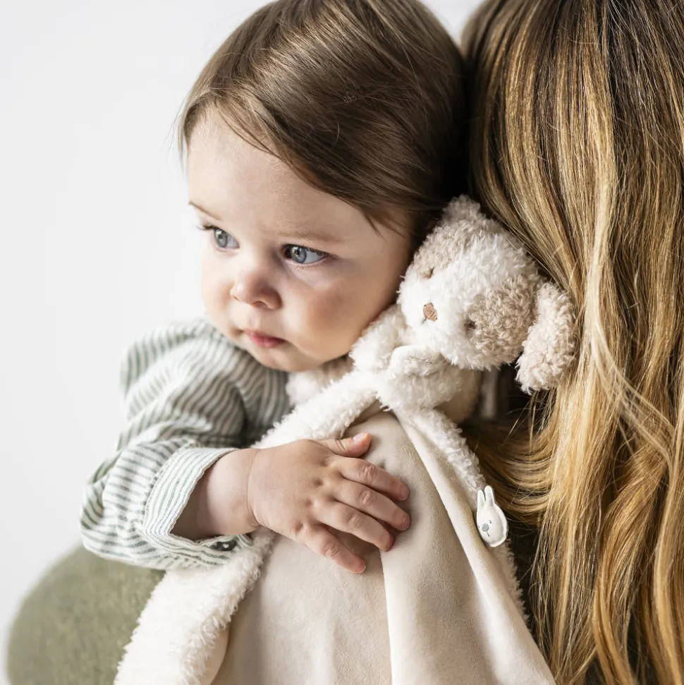 Doudou câlin chien teddy bouclette écru
