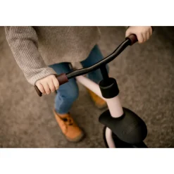 Draisienne e z rider 12 matt rose