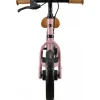 Draisienne space rose