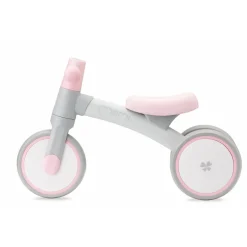 Draisienne tedi rose