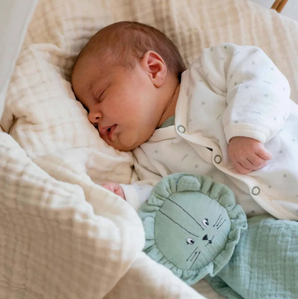 Ensemble naissance 6 pièces 0 mois - sauge