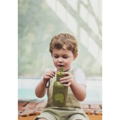 Gourde enfant 350ml mr. dino