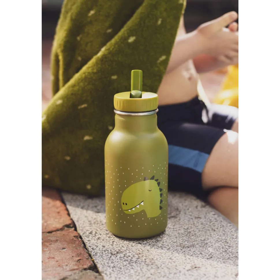 Gourde enfant 350ml mr. dino