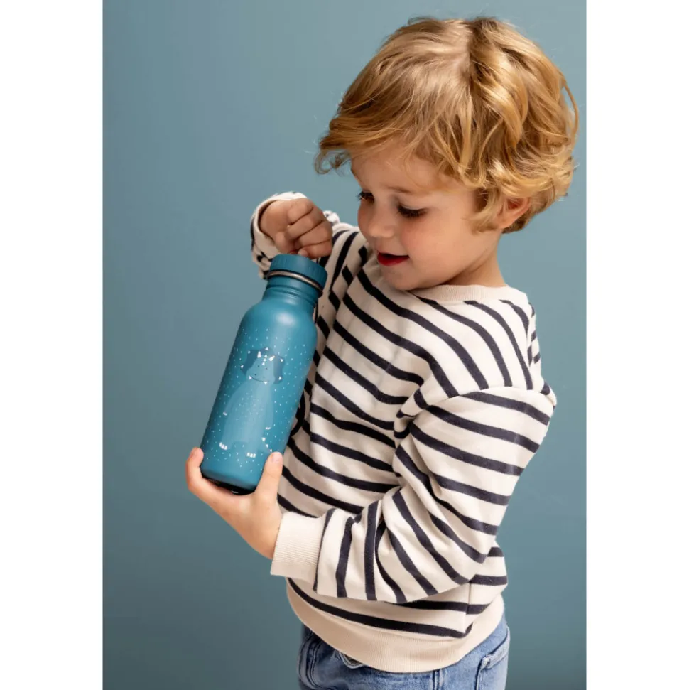 Gourde enfant 500ml mr. triceratops