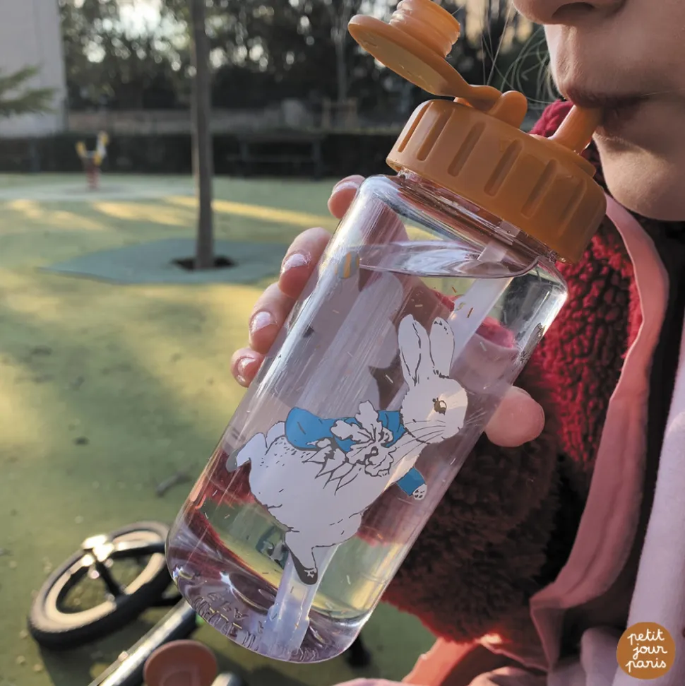 Gourde en tritan 0.35l pierre lapin