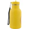 Gourde isotherme 350 ml mr. lion