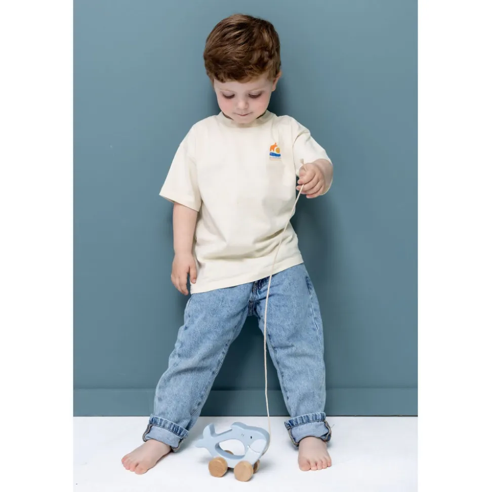 Jouet bébé à tirer en bois - mr. shark