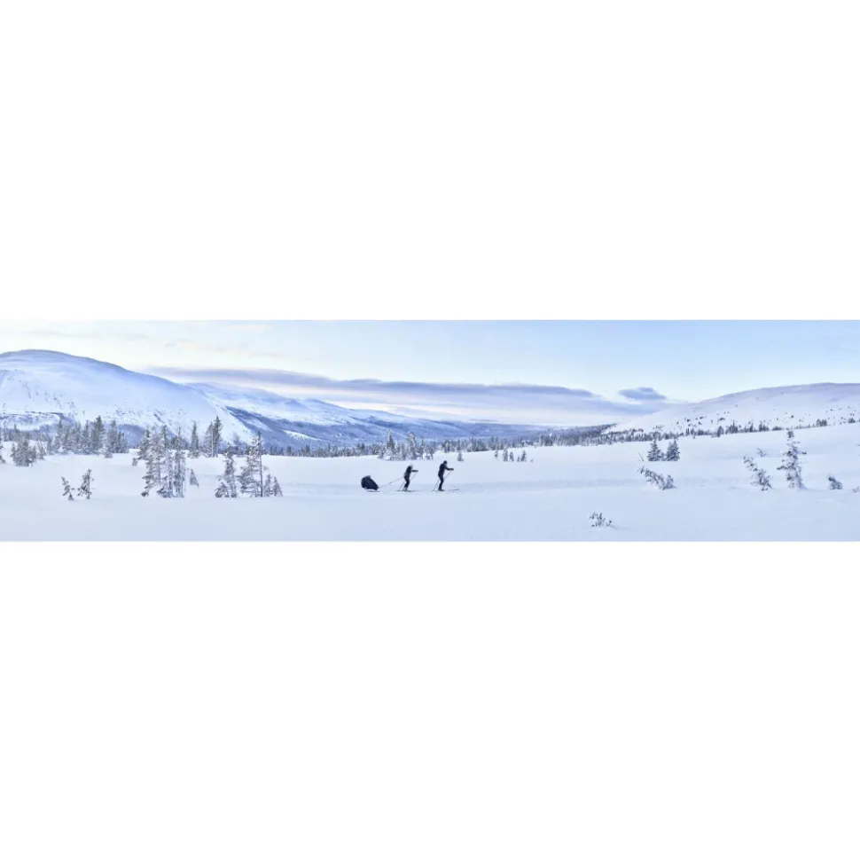 Kit ski pour remorque chariot - génération 1 et 2
