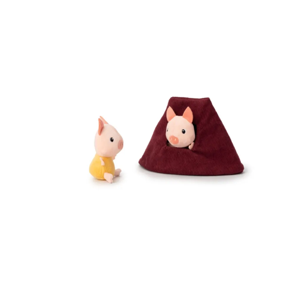 La maison du loup et des 3 petits cochons