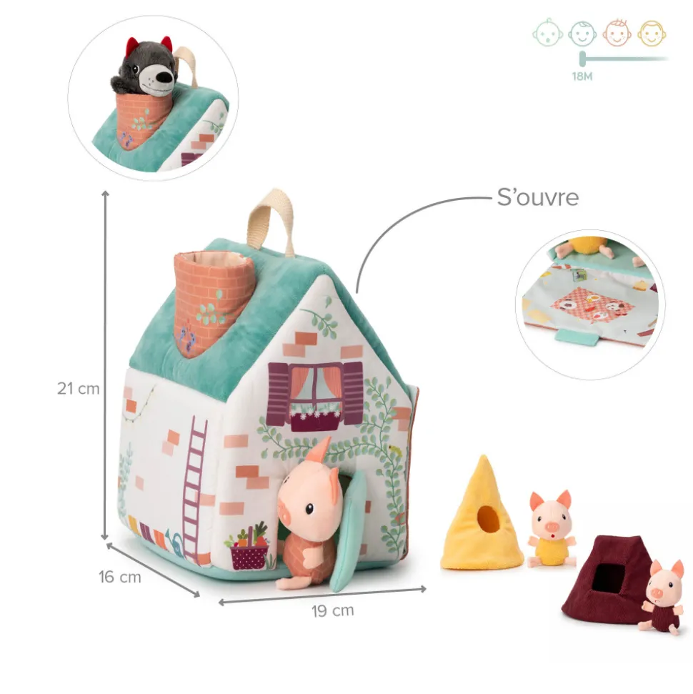 La maison du loup et des 3 petits cochons